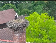 bandicam 2024-07-12 08-38-38-715.jpg