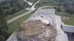 IMG_4161.jpeg