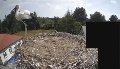 IMG_4250.jpeg