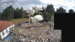 IMG_4292.jpeg