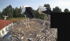 IMG_4364.jpeg