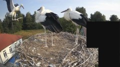 IMG_4365.jpeg