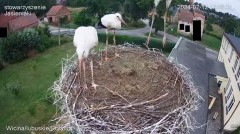2024-07-12 19_04_04-BOCIANY Z WICINY - YouTube – Maxthon.jpg