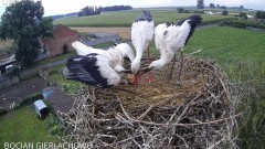 IMG_4418.jpeg
