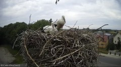 IMG_4371.jpeg