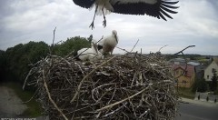 IMG_4372.jpeg