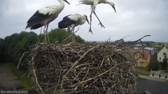 IMG_4387.jpeg
