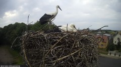 IMG_4400.jpeg