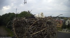 IMG_4401.jpeg