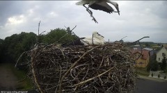 IMG_4403.jpeg