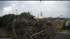 IMG_4405.jpeg