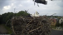 IMG_4406.jpeg