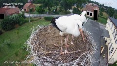 IMG_9794.jpeg
