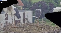 IMG_4294.jpeg