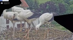 IMG_4287.jpeg