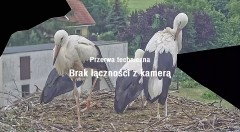 IMG_4367.jpeg