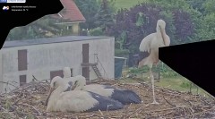 IMG_4489.jpeg