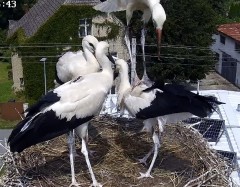 IMG_4100.jpeg