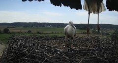 IMG_4140.jpeg