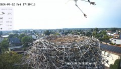 IMG_4315.jpeg