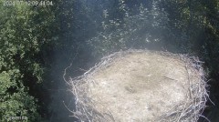 IMG_4142.jpeg
