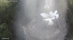 IMG_4146.jpeg