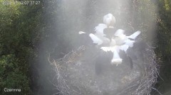 IMG_4147.jpeg