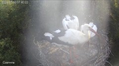 IMG_4148.jpeg