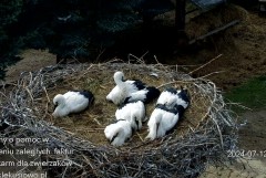IMG_4298.jpeg