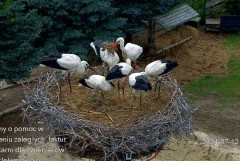 IMG_4310.jpeg