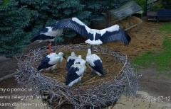 IMG_4456.jpeg