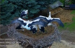 IMG_4457.jpeg
