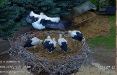 IMG_4460.jpeg