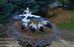 IMG_4461.jpeg