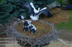 IMG_4465.jpeg