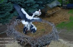 IMG_4467.jpeg