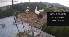 IMG_4833.jpeg