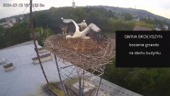 IMG_4838.jpeg