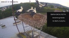 IMG_4842.jpeg