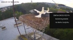 IMG_4849.jpeg