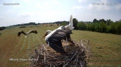 IMG_4700.jpeg