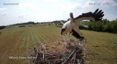 IMG_4705.jpeg