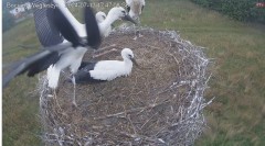 IMG_4819.jpeg