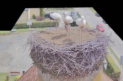 IMG_4651.jpeg