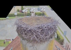 IMG_4665.jpeg
