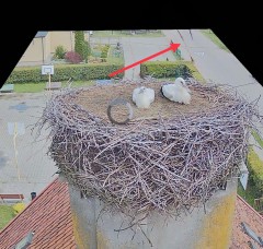 IMG_4710.jpeg
