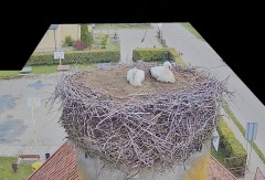 IMG_4712.jpeg