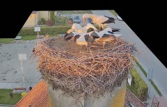 IMG_4959.jpeg