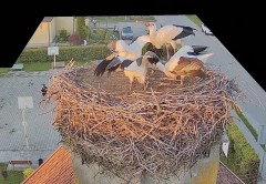 IMG_4961.jpeg