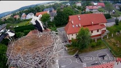 2024-07-13 22_53_08-Gniazdo bocianie _Kostek i Rika_ - Podkarpacie Kostarowce - YouTube – Maxthon.jpg